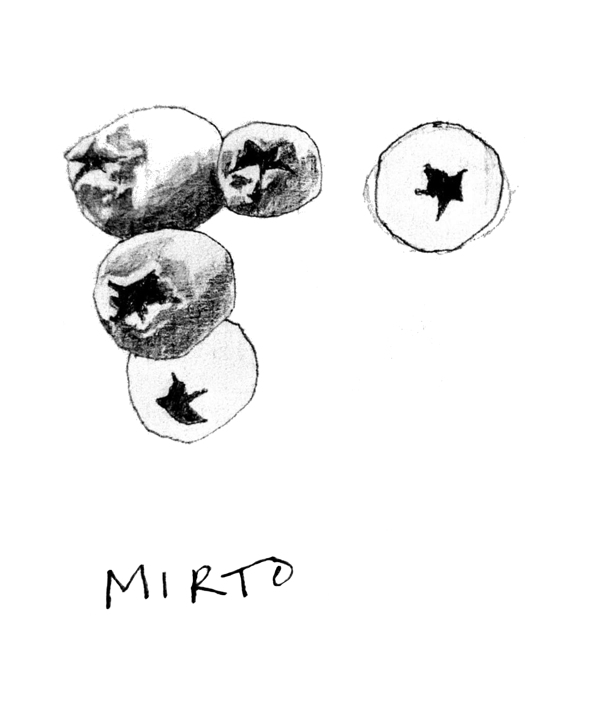 Mirto